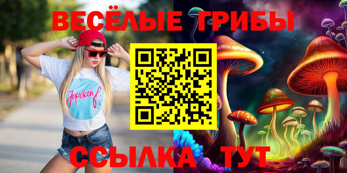 наркота  Вход с VPN  Видное  Псилоцибиновые грибы MAGIC MUSHROOMS 