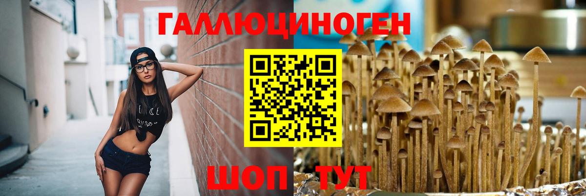 Псилоцибиновые грибы мицелий Видное